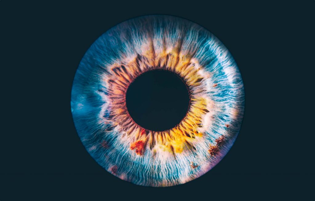 An image of the iris of an eye that represents the how we perceive the blue color of mushrooms bruising