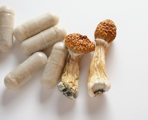 Micro dosing concept. Dry psilocybin mushrooms and natural herbal pills on white background. Psychedelic magic mushroom as medical supplement.